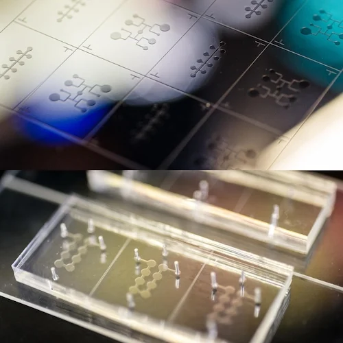 UC Berkeley’s organ-on-a-chip platform